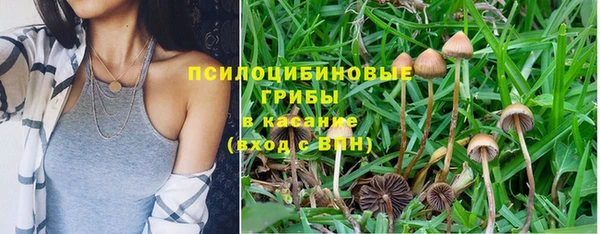 MDMA Premium VHQ Заводоуковск