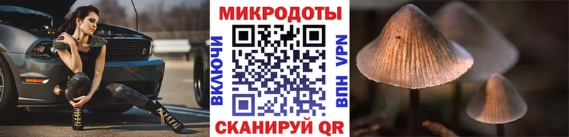 mega tor Инта Псилоцибиновые грибы GOLDEN TEACHER